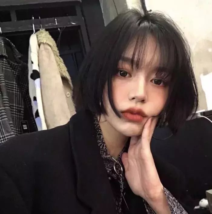 狮子狗行动